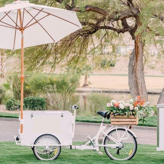 Ice Cream Bike Cart Service