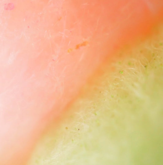 Candy Corn Cotton Candy