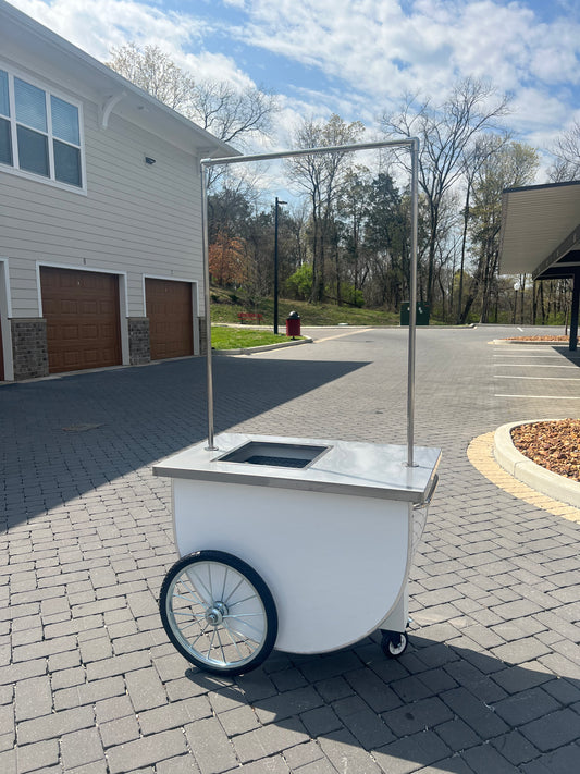 Popsicle Ice Cream Party Service